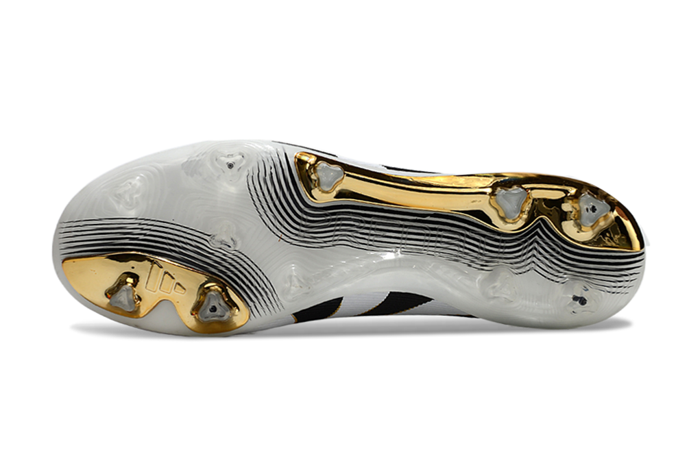 Predator Accuracy FG