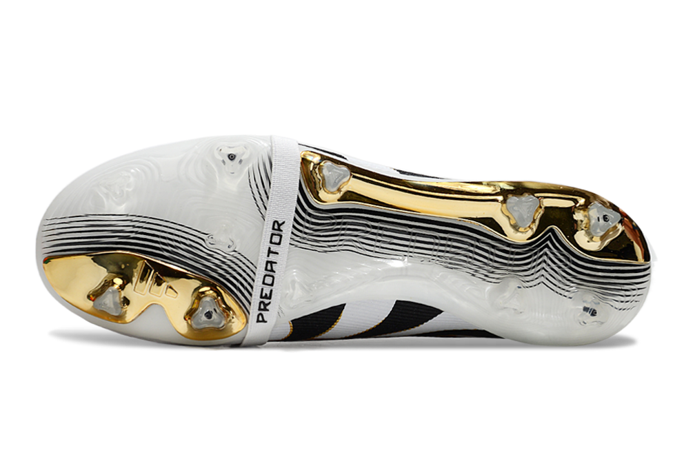 Predator Accuracy FG